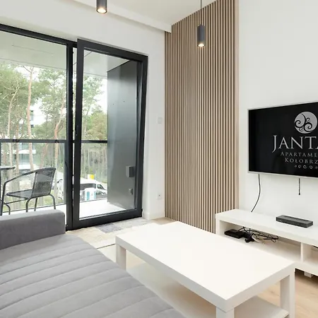 Shellter 117 L - By Jantar ロゴボ