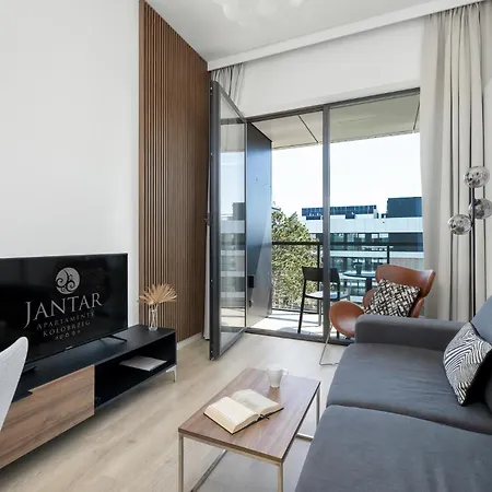 Shellter 117 L - By Jantar ロゴボ